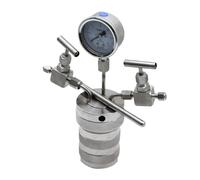 Reattore ad autoclave, Bollitore di reazione for sintesi idrotermale Recipiente for reattore for autoclave for da 25 ml Per laboratorio