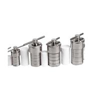 Reattore ad autoclave, Reattore for autoclave idrotermale da 5-500 ml con sintesi camera in PTFE Per laboratorio(Groen)
