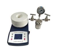 Reattore autoclave, Dispositivo di visualizzazione a pressione a prova di esplosione con agitazione magnetica, reattore ad alta temperatura e alta pressione, sintesi idrotermale(50ml)