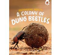 Rebecca Storm Discovering Insects: A Colony of Dung Beetles (Tascabile)