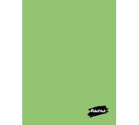 Rebel Ink: College Ruled Hardcover Journal Notebook For Women, Men & Anyone Who Loves To Write In Style: 8.25 x 11 Inches | Lined White Paper | 222 ... Your Next Bestseller | Pistachio Cover
