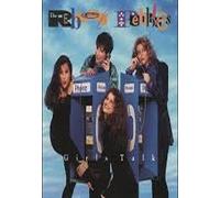 Rebel Pebbles - Girls Talk [CASSETTE]