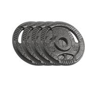 Rebel Set di pesi in ghisa 4 x 1,25 kg foro 31 mm disco con maniglie RBA-2132