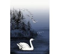 Rebel Walls Carta da parati panoramica Swan Lake - Nightfall