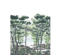 Rebel Walls Carta da parati panoramica The Enchanted Forest - Daylight