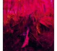 Rebel Wizard Magickal Mystical Indifference (Vinyl LP) 12" Album