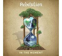 Rebelution In the Moment (Vinyl LP) 12" Album