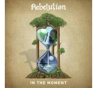 Rebelution In the Moment (Vinyl LP) 12" Album
