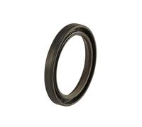 REBER PARAOLIO ESTERNO MOTORIDUTTORE PASSAPOMODORO TRITACARNE HP0,40-0,80- 1,5