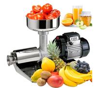 Reber Spremipomodoro Elettrico N.5 600W per Salsa di Pomodoro e Conserve | per Marmellate e Succhi di Frutta, Produzione fino a 350 Kg/h Accessori in Acciaio Inox, Motore a Induzione per Uso Continuo
