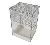 RECCO DI RIPIDER JUMPING - COLLE REGIONE REGOLABILE PER HABIDAT SAFE, design ventilato trasparente con facile accesso, contenitore di mantide preghistica per l'osservazione della classe per bambini ad