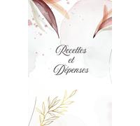 RECETTES DEPENSES / Registre de comptabilité: Livre de compte auto entrepreneur, Carnet budget entreprise, micro-entrepreneur, micro entreprise, budget professionnel personnel maison