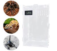 Recinto in acrilico per ragni saltatori, rettili, serpenti, scorpioni, gechi