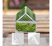 Recinto per ragni saltatori, piccola scatola di riproduzione per tarantole