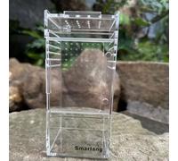 Recinto Per Ragni Saltatori Recinto Trasparente Per Tarantole Per Serpenti,