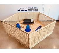 RECINTO SVEZZAMENTO PER 50 PULCINI | CHIOCCIA ARTIFICIALE | IL DOPO INCUBATRICE