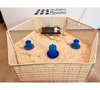 RECINTO SVEZZAMENTO PER 60 PULCINI | CHIOCCIA ARTIFICIALE | IL DOPO INCUBATRICE