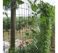Recinzione da giardino in rete metallica saldata rivestita in PVC, 1 x 30 m, filo zincato per uccelli, pollame e protezione delle piante, soluzione durevole per recinzione esterna