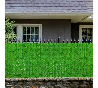 Recinzione Per Il Balcone Perimetrale Del Giardino Decorazione Cortile