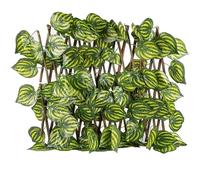 Recinzione Watermelon Leaves Expandable Retractable Plastic Simulation Trellis Hedge Fence Screening Roll Expanding Fence edera finta(2 UK,70)