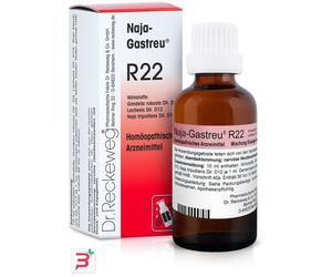 RECKEWEG R22 GOCCE 22ML