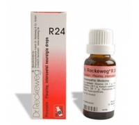 Reckeweg R24 Gocce 22ml
