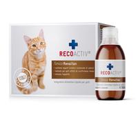 RECOACTIV® Renaltan Tonico 3x90 ml Tonico