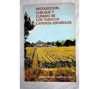 Recolección, cuelgue y curado de los tabacos caperos españoles