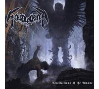 Recollections of the Insane (Black Vinyl