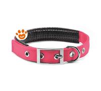Record Dog Collare Nylon Imbottito Soft Rosa - Record Dog Collare Nylon Imbottito Soft Rosa - Confezione Da 1 Pezzo
