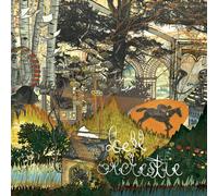 Recording a Tape the Colour of