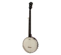 Recording King OT26BR Madison Old Time Banjo
