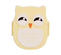 Rectangular Portable Lunch Box with Cute Owl Pattern Leakproof Food Container for Keeping Fruits Both for Children and Adults Dimensions of approxima