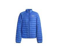 Red Bull Racing X Pepe Jeans RBR Thinsulate Jacket Giacca, Blue (Electric Blue), XL Uomo