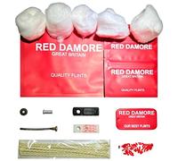 RED DAMORE Kit di riparazione per accendini a benzina, 50 pietre focaie, 5 cotone naturale, 10 stoppini più leggeri, 1 feltro, 1 risparmio carburante in gomma, 1 ruota focaia , 1 molla di ricambio