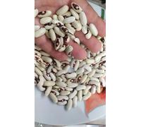 Red Eagle Beans, Abruzzo, Tuscany, Thin Skin, Rare Rare, red eagle...
