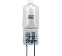 Red Finch Group Lampada 24V 150W per Kindermann Telefocus e Proiettori Universal Slide