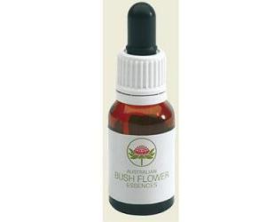 Red Grevillea Australian Gocce 15ml
