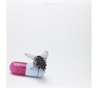 Red Hot Chili Peppers I'm With You (Vinyl LP)