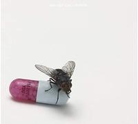 Red Hot Chili Peppers - I'm With You [Vinile]