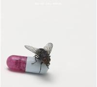 Red Hot Chili Peppers I'm With You (Vinyl LP)