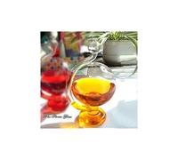 (Red)Inspired Glass Weather Storm Forecast Bottle Barometer Home Office DIY Decor