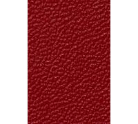 Red Leather-Textured Notebook: 100 Pages Lined Journal for Writing, Notes & Creativity