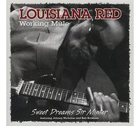 Red, Louisiana - Working Mule