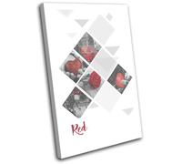 Red Love Rose Fruit Bus Abstract SINGLE TELA parete arte foto stampa