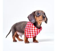 Red Nose Day Bandana per cani con motivo a pois S/M