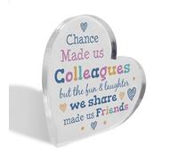 Red Ocean Divertente regalo per collega per BiChristmas Placca acrilica regali per colleghi Chance Made Us Colleges placca regalo per lui lei Leaving Job nuovo lavoro regalo ricordo