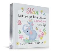 Red Ocean Targa in acrilico con scritta in lingua inglese "Nan For Birthday Christmas Mother's Day Important Piece Of My Life Nan Presents From Granddaughter Grandson Nanny Thank You For Her Keepsake