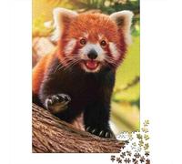 Red Panda Cub Jigsaw Puzzle Impossible 1000Pcs Decorazione Per La Casa. Giochi Rilassamento E Intelligence Per Adulti E Bambini Da 12 Anni 38x26cm/1000pcs