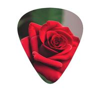 Red Rose Flower 1 Print Organizer Storage Box Spessore diverso Plettri per chitarra acustica